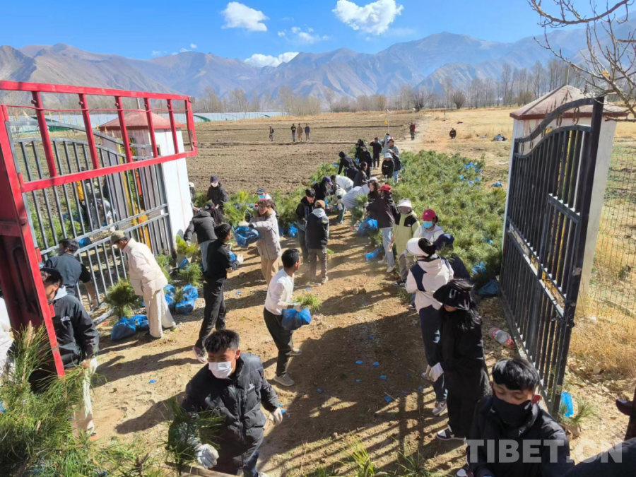 【最新黑料網 獨家爆料正能量】美的集團與華融金租簽署戰略合作協議