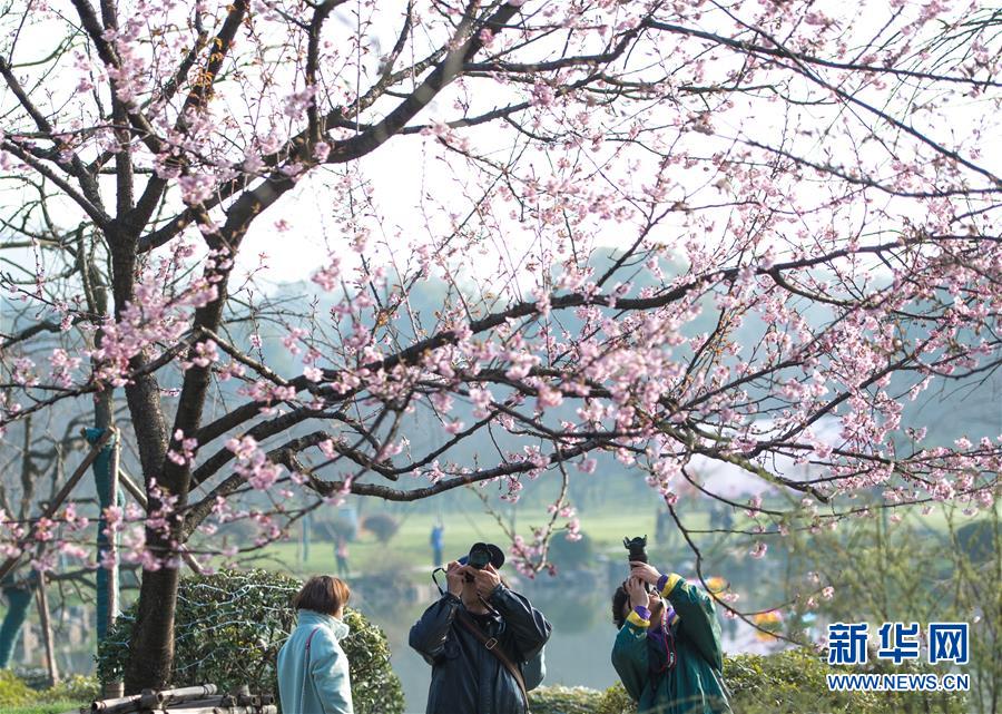 【Intitle免費吃瓜爆料】“非遺”中國年帶火粵港澳大灣區文明旅行