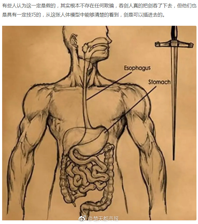 【免費的短視頻app大全下載】福建省數據發展多項指標居全國前列