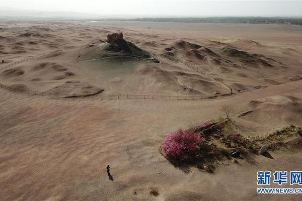 【張律渝和呂總落地窗】電力高速路 瞬傳清潔電