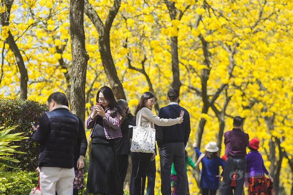 【國產(chǎn)熱門事件黑料吃瓜網(wǎng)匯總】預(yù)計2024年匯總收入將超過1940億元！中國重汽發(fā)布了9款新產(chǎn)品 2025年，欲沖擊45萬輛銷售目標(biāo)