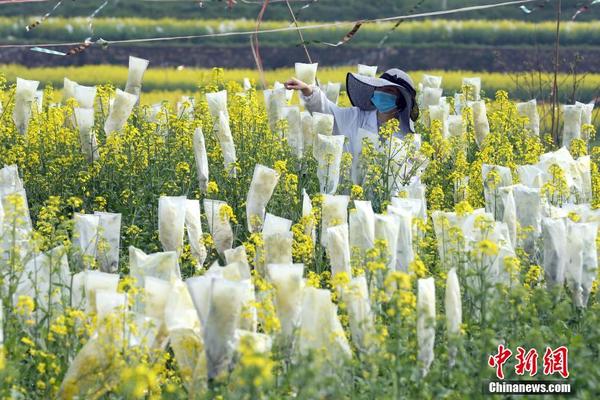 【51官方入門網】深圳發布全國首個即時配送經營者合規指引