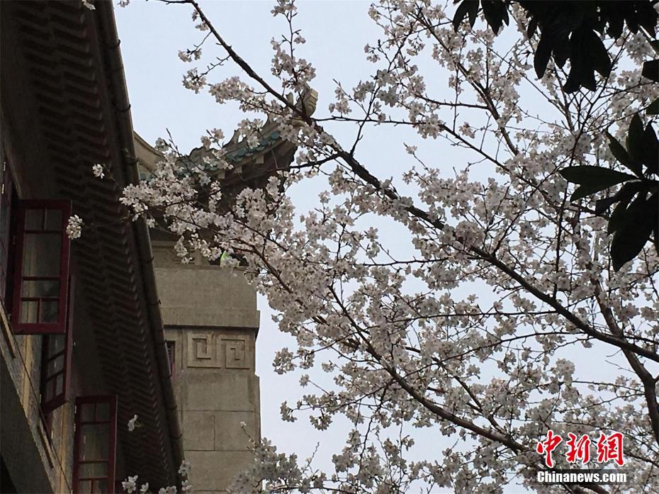 【反差黑料吃瓜網正能量】港股半導體板塊走強