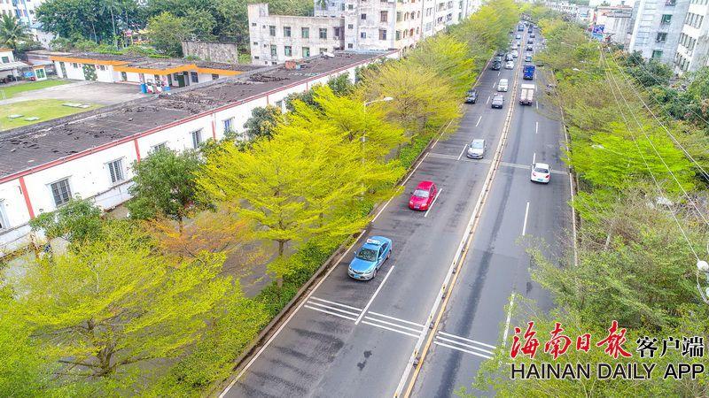 【國內吃瓜爆料黑料網曝門】國內首個自主升降海洋牧場平臺“湛農一號”最后一組網箱安裝完成