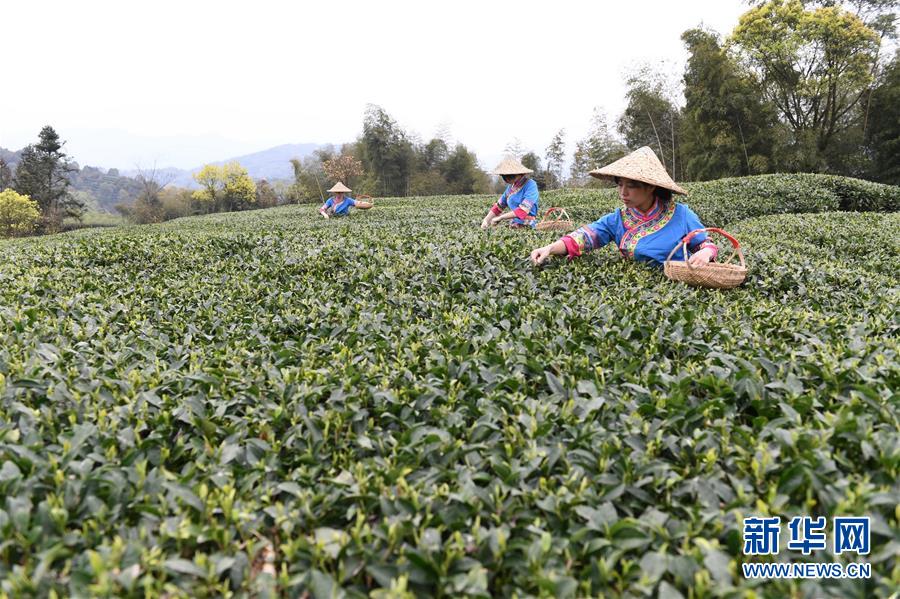 【黑料網-免費吃瓜-獨家爆料】十二月九日，人民幣兌美元中間價下調了22個基點