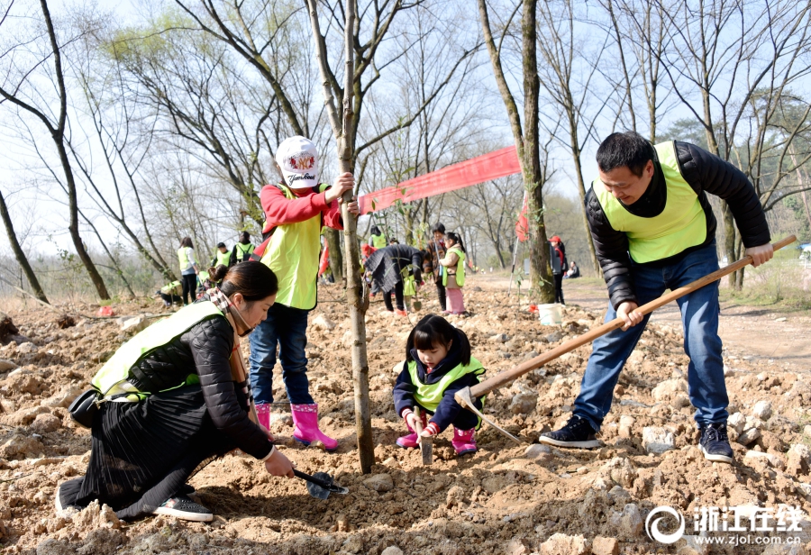 【蘑菇視頻爆料黑料吃瓜】去年重慶集體經濟組織經營性收入將達60億元