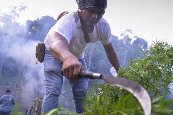 【亞洲精  產精華液的護膚功效】十五運會籌備工作“轉段”