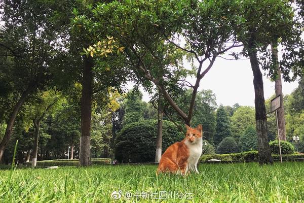 【吃瓜群眾】斷繳醫保有風險 專家建議用醫保撐起“健康保護傘”