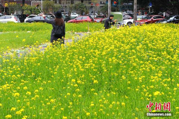 【成品短視頻app下載有哪些】乘聯(lián)會(huì)崔東樹：11月公樁總量達(dá)346萬個(gè) 較上月增長6.9萬個(gè)