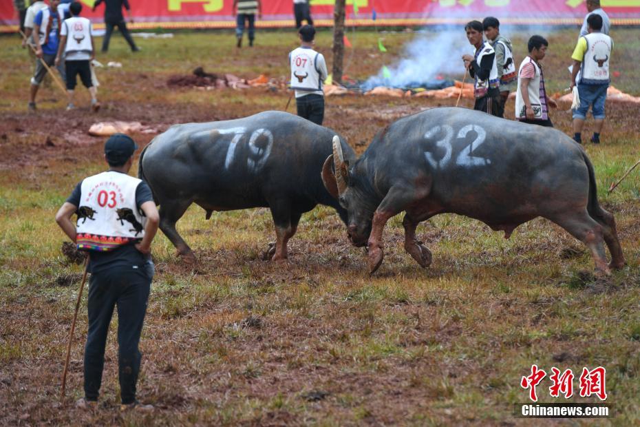 【吃瓜視頻最新觀看吃瓜爆料】玉米直男什么梗