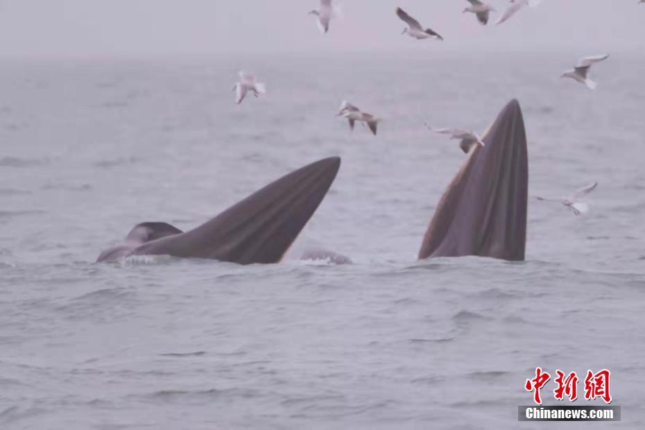 【今日吃瓜黑料-海外吃瓜】香港第一家醫院通過CIHA認證