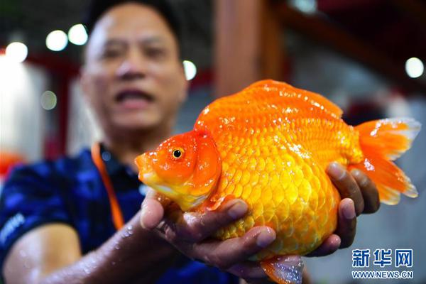 【吃瓜網今日吃瓜 熱門大瓜】上海新政！關系到生物醫學、人工智能、養老家政等行業