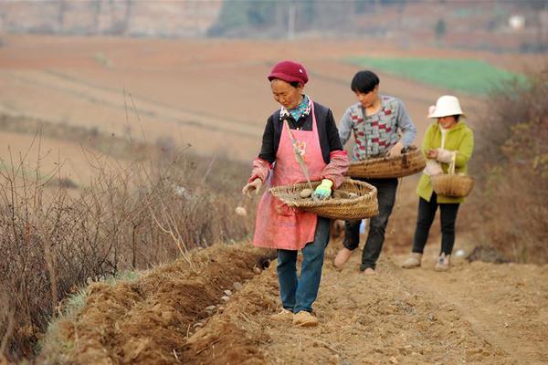 【吃瓜爆料】拼多多高質量發展戰略再升級：成立“商家權益保護委員會”，深化新質供給