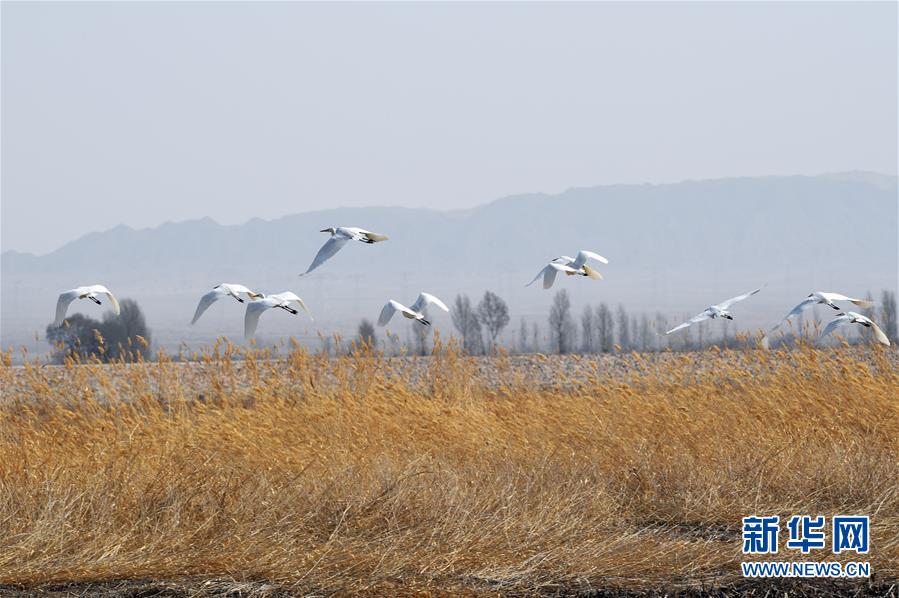 【蘑菇視頻爆料黑料吃瓜】浙江湖州：百間樓夜景明亮