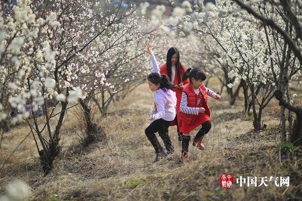 【51熱門今日吃瓜反差婊】敘利亞過渡總統抵沙特敞開首訪